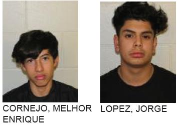 Rome Teens Arrested for Stealing Motorized Cart from Wal-Mart