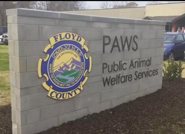 PAWS Reports Rising Intake, Increased Euthanasia, and Growing Shelter Strain in Latest Monthly Data