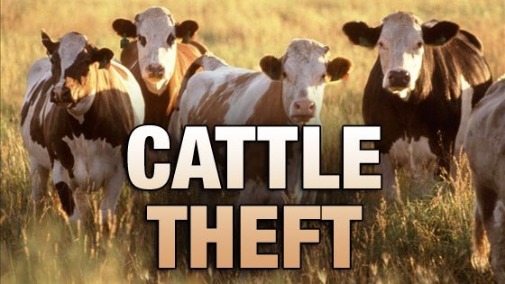Cherokee County Man Found Guilty of Cattle Rustling
