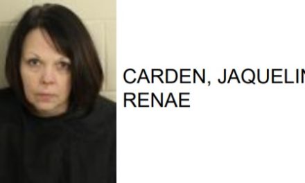 Silver Creek Woman Faces Multiple Theft Charges