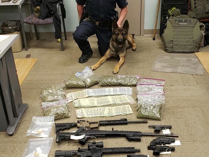 Drug Raid Nets Pounds of Drugs, Guns and Cash
