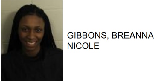Silver Creek Teen Charged with Placing her Mother in Fear