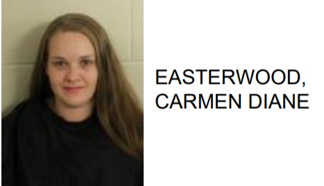 Lindale Woman Charged with Burglary