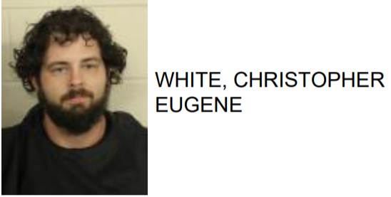 Rome Man Caught on Camera Burglarizing Home