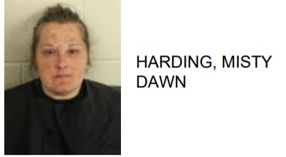 Dalton Woman Arrested After Dumping Drugs and Leaving Scene of Accident in Rome