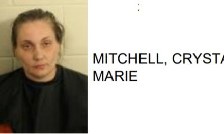 Rome Woman Found with Meth in Bra Inside Floyd County Jail