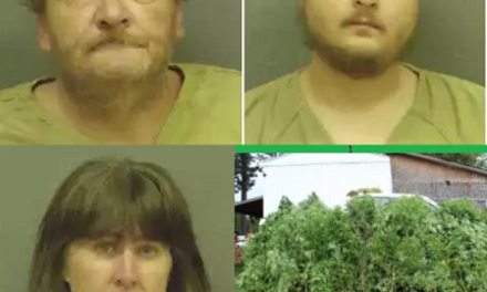 State Task Force, Sheriff’s Deputies Discover 90+ Marijuana Plants, 3 Arrested