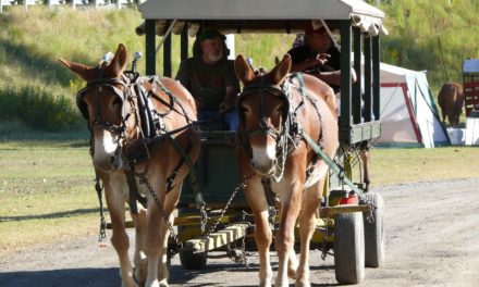John Wisdom Wagon Train and Billy Puryear Ride – Final Year Ends with Parade on Broad Street This Saturday