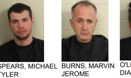 Four Arrested in Burnett Ferry Drug Bust