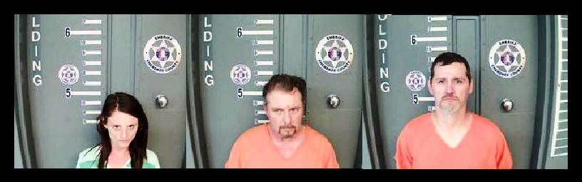 Three Arrested on Drug Charges in Cherokee County - Coosa Valley News