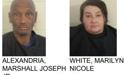 Window Tint Violation Leads to Meth Arrest for Rome Couple