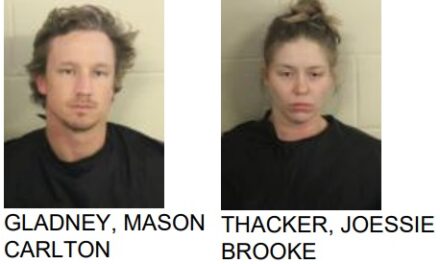Silver Creek Couple Jailed After Altercation Becomes Physical