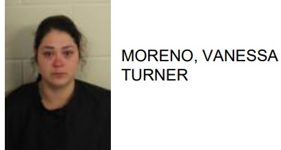 Rome Woman Jailed for Burglary and Numerous Thefts