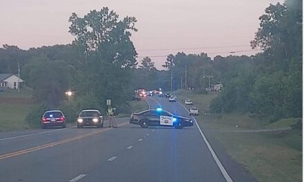 High-speed chase from Bartow County ends with fatal PIT maneuver in Gordon County killing Calhoun man on ATV
