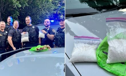 Polk County Police Find Large Amount of Meth Being Trafficked