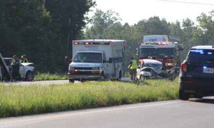 Elderly Trion Woman Killed in Head-on Wreck in Northern Floyd County