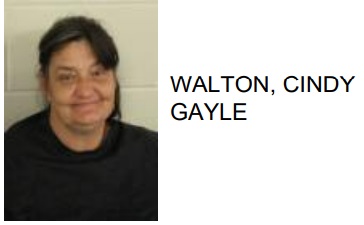 Rome Woman Sells Meth to Police Informant