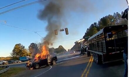 VIDEO:  Rome Police Officer And Good Samaritans Save Woman And Child From Burning Car