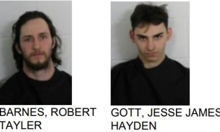 Rome Men Jailed for Shooting Deer while Driving Down Road