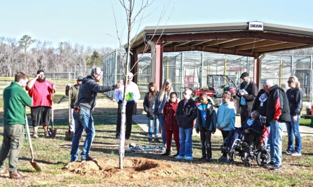 Cedartown selected to participate in Trees Across Georgia program