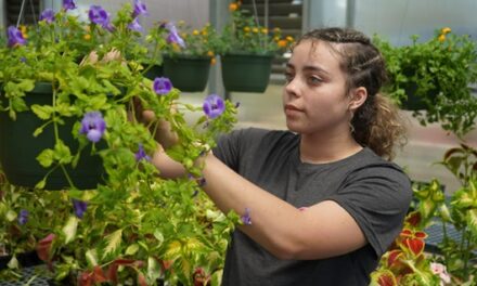 Horticulture program growing at GNTC’s Rome Campus