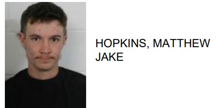 Cedartown Teen Jailed for Slashing Car Tires