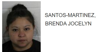 Rome Woman Jailed for Leaving Small Children Home Alone