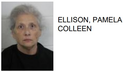 Rome Woman Jailed for Taking Money to Do Taxes, Keeping Money for Herself