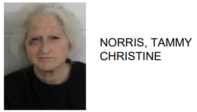 Rome Woman Jailed for Trying to Sell Stolen iPhone