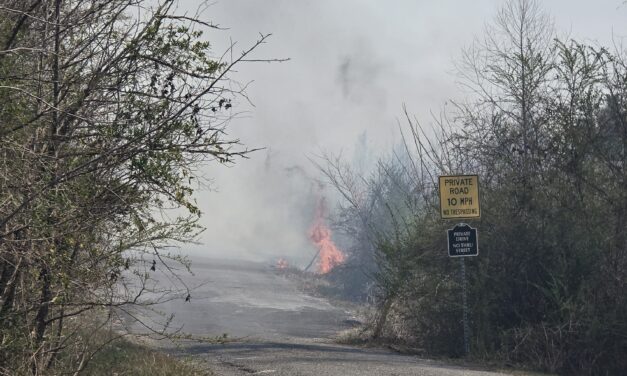 Arrest Pending After Wildfires Scorch Nearly 200 Acres in Armuchee