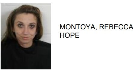 Cartersville Woman Found with Multiple Drugs After Running Stop Sign
