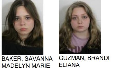 Teens Arrested for Shoplifting at East Rome Walmart