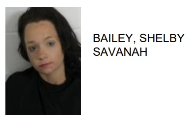 Rome Woman Jailed for Carving into Hobby Hobby