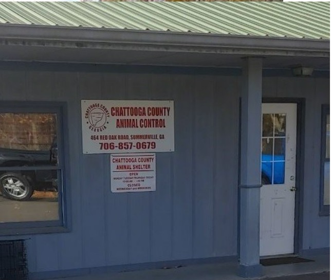 Chattooga County Commissioner Responds To Issues At County Animal Shelter