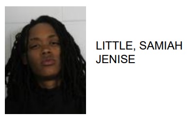 Rome Woman Jailed for Breaking Roommates Cellphone