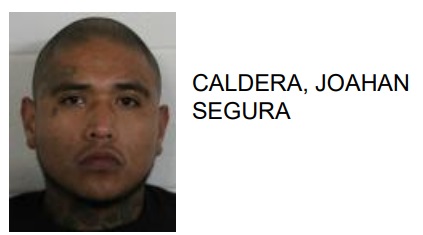 Rome Man Points Gun at Children while Threatening to Kill Them