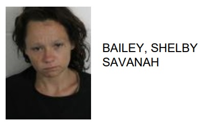 Rome Woman Jailed for Beating Floyd County School’s Vehicle with a Machete