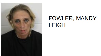 Cartersville Woman Found with Various Drugs During Traffic Stop in Rome
