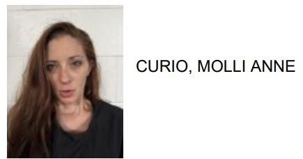 Kingston Woman Jailed for Stealing Nearly $1,000 in Merch from Walmart