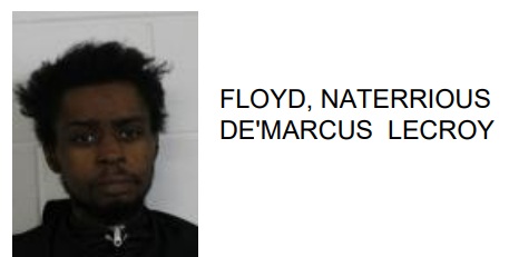 Rome Man Faces Charges for Allegedly Filing False Vehicle Title Documents