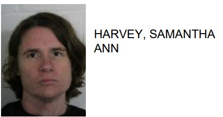 Cave Spring Woman Found Illegally in Possession of a Gun