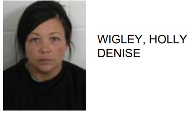 Rome Woman Arrested for Beatdown of Another Woman - Coosa Valley News