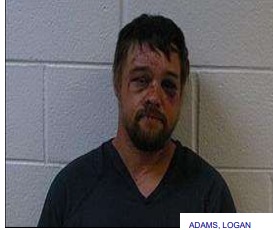 Cedartown, Rome Man Jailed for Acting in a Disorderly Manner while Drunk