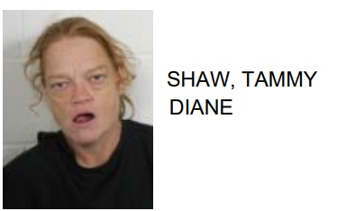 Rome Woman Jailed for Urban Camping