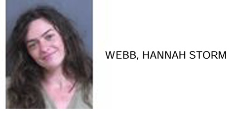 Pursuit Ends Near Gordon/Floyd County Line With Arrest of Calhoun Woman