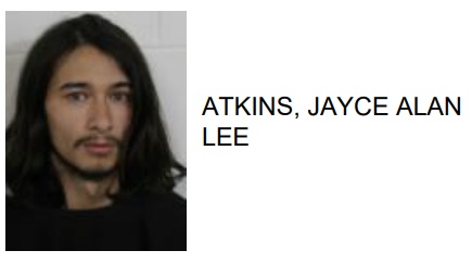 Lindale Teen Jailed for Starving Animal to Near Death