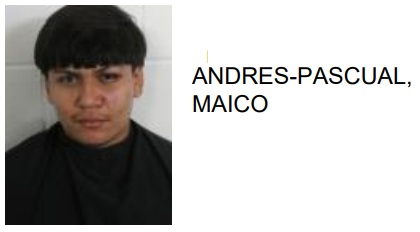 Rome Teen Found Driving Drunk