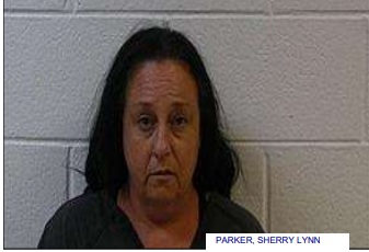Cedartown Woman Found with Drugs after Hit and Run