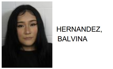 Rome Woman Jailed for Attacking Man, Woman at Downtown Establishment