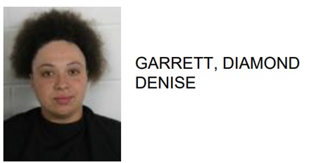 Traffic Stop Leads to Gun, Drug Charges for Rome Woman